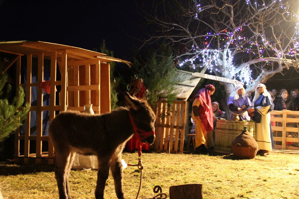 U Diklu kod bunara upriličene žive jaslice U Diklu kod bunara upriličene žive jaslice