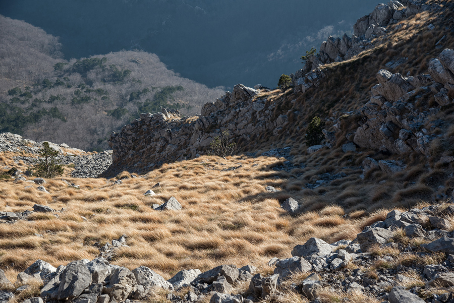 Od Velikog Rujna, preko Rujanske kose do Višerujna…