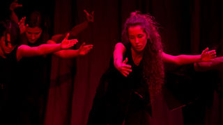 Plesna čestitka Zadarskog plesnog ansambla, Foto: Leo Banić Plesna čestitka Zadarskog plesnog ansambla, Foto: Leo Banić