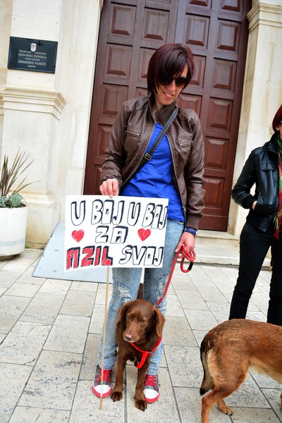 Skup podrške za NO KILL skloništa za životinje,  foto Iva Perinčić