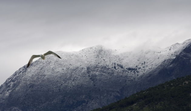 Makarska, 260513.
Snijeg je zabijelio vrhove planine Biokovo donijevsi dasak zime u kasno proljece, dok je na najvisem vrhu Svetom Juri jutros zabiljezeno -2 stupnja Celzija.
Na slici: Proljetni snijeg na planini Biokovo.
Foto: Ivo Ravlic / CROPIX