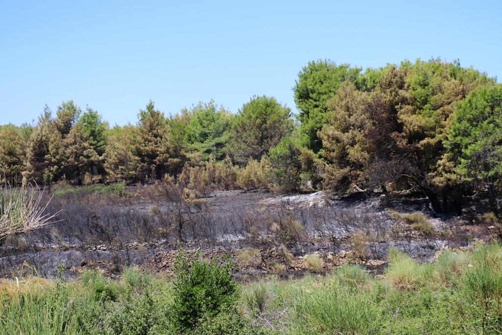 Vir: Požar u Lozicama u potpunosti ugašen Vir: Požar u Lozicama u potpunosti ugašen