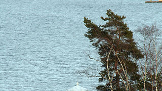 Skandinavska otočna arhitektura