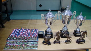 Benkovacka malonogometna liga, zavrsnica. Foto: Mane Ledenko