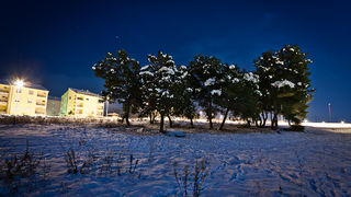 Noćni đir po Višnjiku, Foto: Anđelo Virag