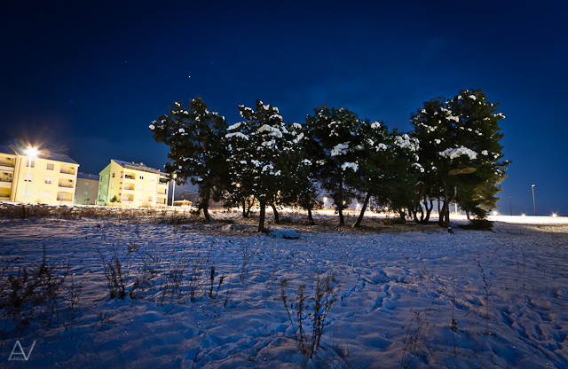Noćni đir po Višnjiku, Foto: Anđelo Virag