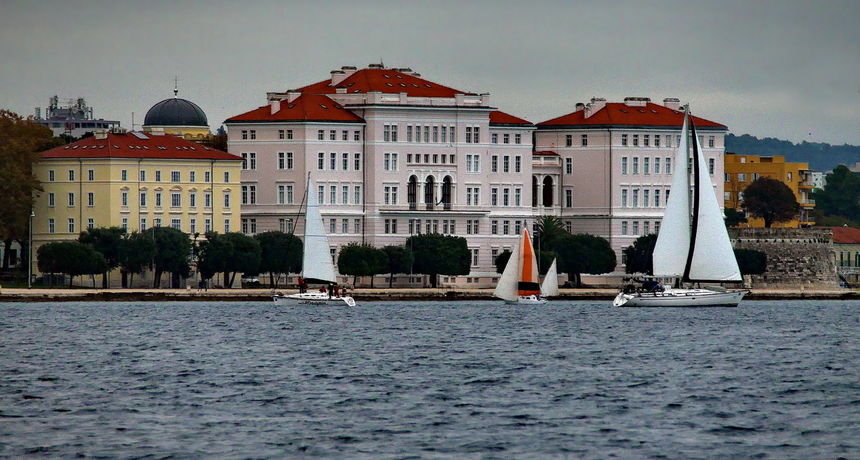 Zadarska koka 2020. Zadarska koka 2020.