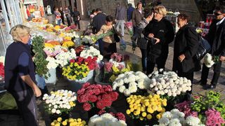 Započela prodaja cvijeća na zadarskoj tržnici, foto-I. Perinčić Započela prodaja cvijeća na zadarskoj tržnici, foto-I. Perinčić
