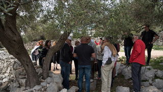 U Vrtovima lunjskih maslina održana 12. Lunjska maslinada. Foto: Vinko Pešić