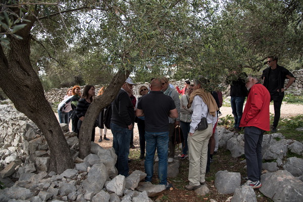 U Vrtovima lunjskih maslina održana 12. Lunjska maslinada. Foto: Vinko Pešić