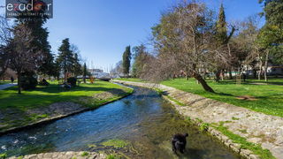Đir po gradu 3. ožujka 2017.