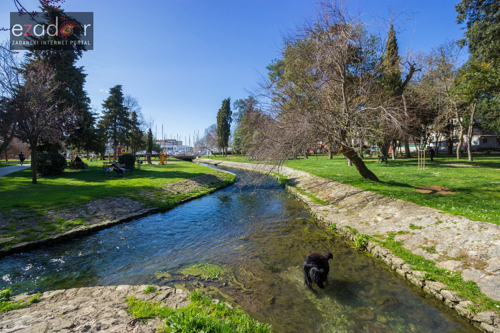 Đir po gradu 3. ožujka 2017.