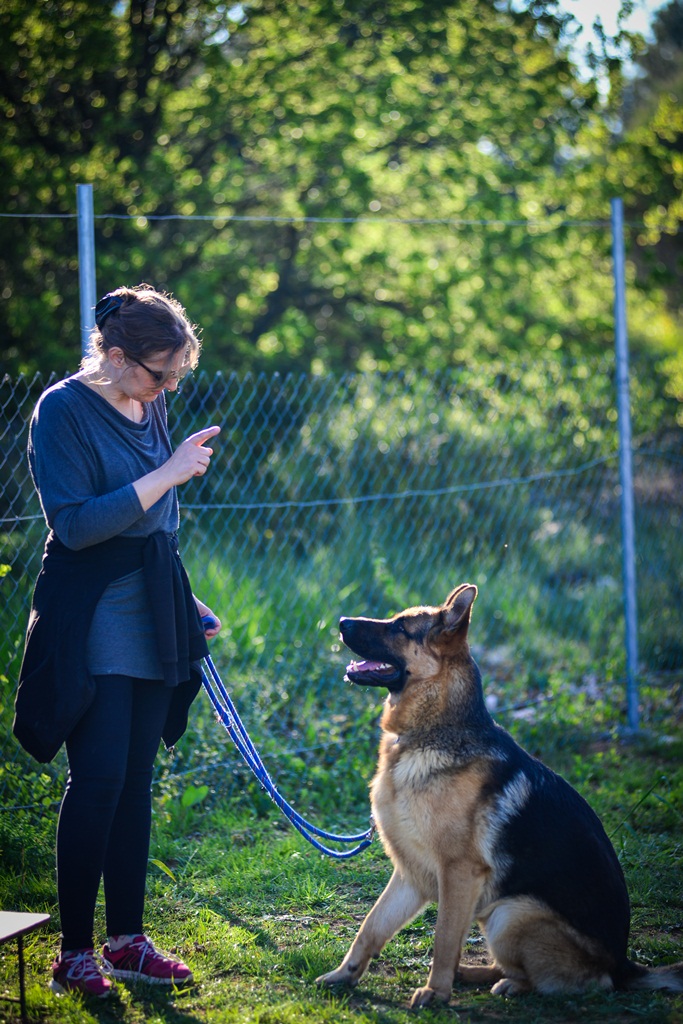 Kinološka udruga Malinois