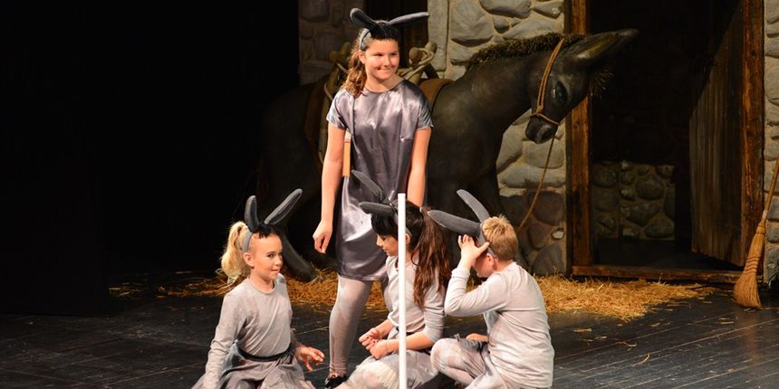 Donatolina u Kazalištu lutaka: “Mareta tamo i nazad” Donatolina u Kazalištu lutaka: “Mareta tamo i nazad”