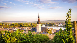 Putevima vinove loze: Top destinacije za ljubitelje vina