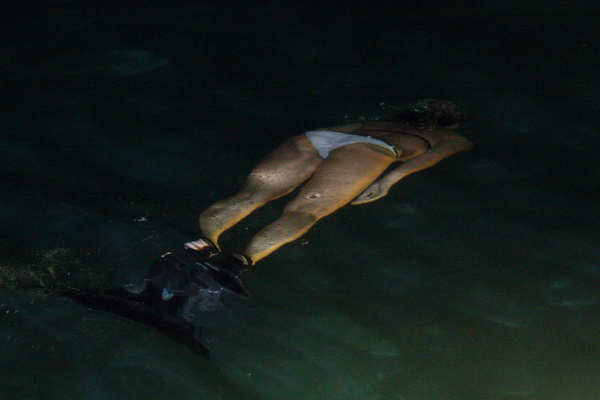 Biograd na Moru: 1. Morska alga 8. kolovoza 2009, Foto: Mladen Malik