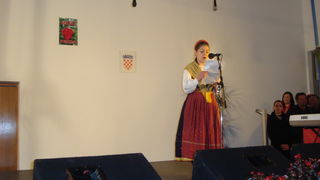 Koncert u Briševu Koncert u Briševu