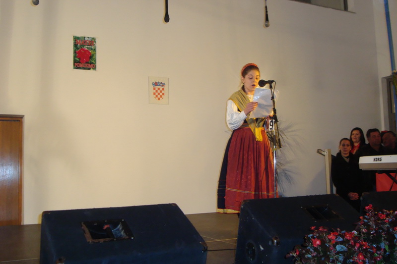 Koncert u Briševu Koncert u Briševu