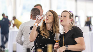 U Bedenici svečano otvoren prvi Eco-Wine Fest uz koncerte Vatre i Soul Fingersa