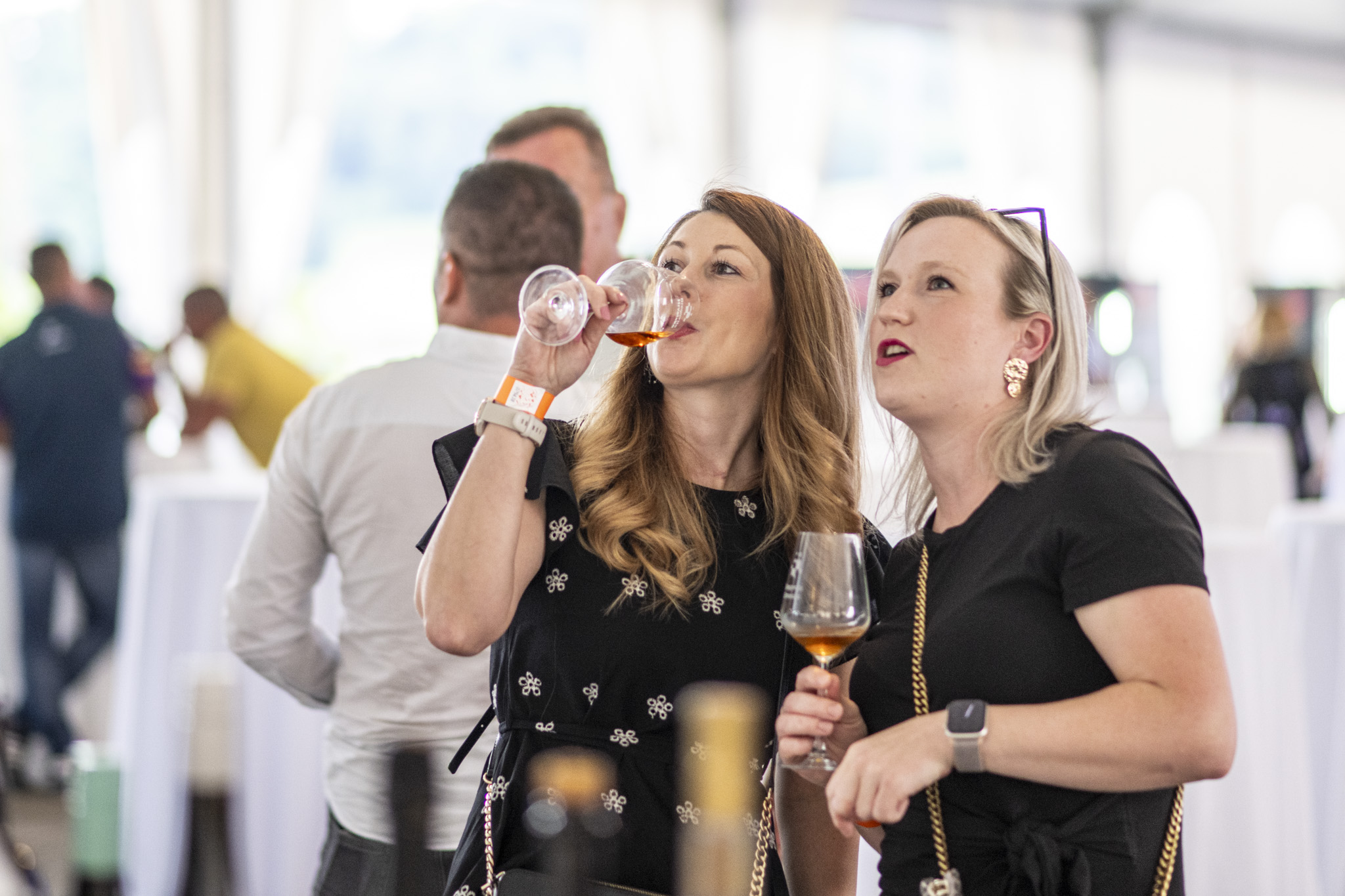 U Bedenici svečano otvoren prvi Eco-Wine Fest uz koncerte Vatre i Soul Fingersa