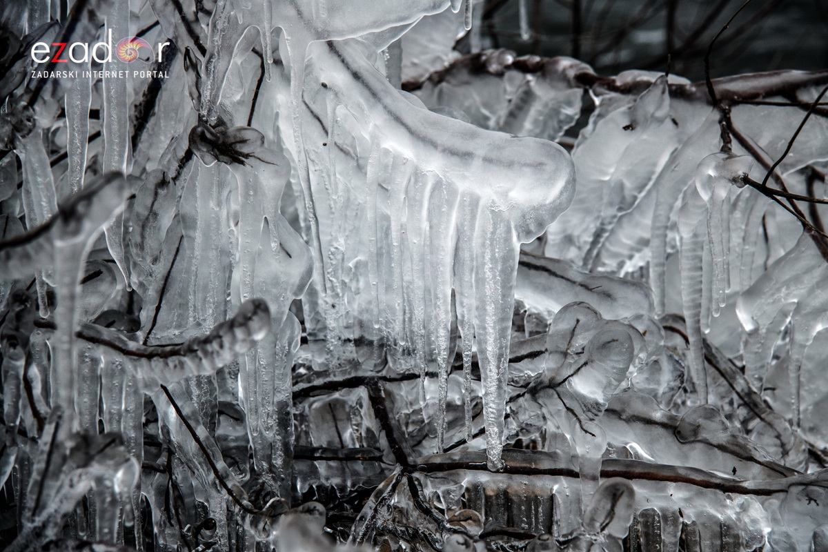 Zimska idila u Parku prirode Vransko jezero Zimska idila u Parku prirode Vransko jezero