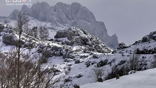 Tulove grede pod snježnim pokrivačem Tulove grede pod snježnim pokrivačem