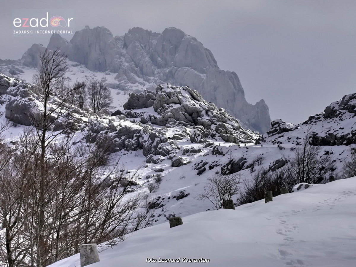 Tulove grede pod snježnim pokrivačem Tulove grede pod snježnim pokrivačem