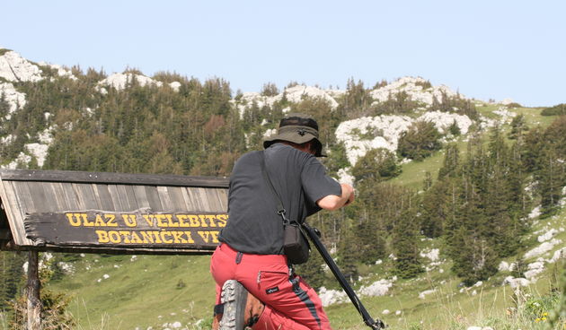 Image 1187157 (auto)