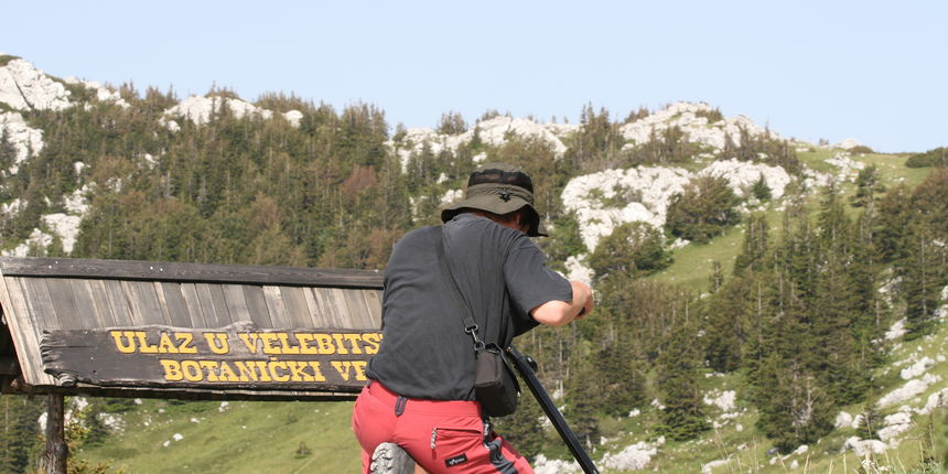 Image 1187157 (auto) Image 1187157 (auto)