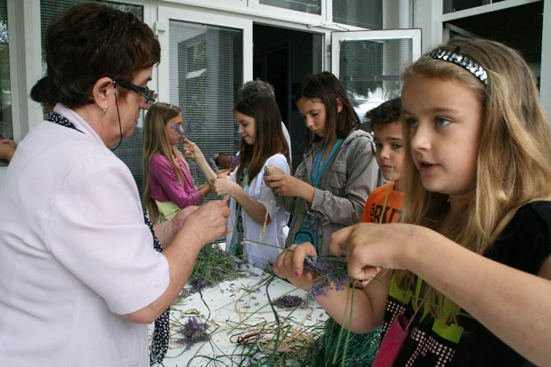 Danas je održana kreativna radionica za velike i male u organizaciji Dječjeg odjela Gradske knjižnice Zadar: izrada stručaka i jastučića od lavande od 10-12 h. Radionicu je vodila gospođa Jadranka Plantak. Foto by Lucija Juravic Danas je održana kreativna radionica za velike i male u organizaciji Dječjeg odjela Gradske knjižnice Zadar: izrada stručaka i jastučića od lavande od 10-12 h. Radionicu je vodila gospođa Jadranka Plantak. Foto by Lucija Juravic