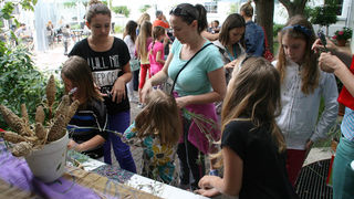 Danas je održana kreativna radionica za velike i male u organizaciji Dječjeg odjela Gradske knjižnice Zadar: izrada stručaka i jastučića od lavande od 10-12 h. Radionicu je vodila gospođa Jadranka Plantak. Foto by Lucija Juravic Danas je održana kreativna radionica za velike i male u organizaciji Dječjeg odjela Gradske knjižnice Zadar: izrada stručaka i jastučića od lavande od 10-12 h. Radionicu je vodila gospođa Jadranka Plantak. Foto by Lucija Juravic