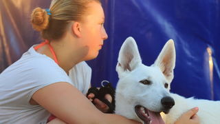 1. Bibinje Summer Run – ulična utrka ulicama Bibinja. Foto. Leo Banić 1. Bibinje Summer Run – ulična utrka ulicama Bibinja. Foto. Leo Banić