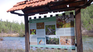 Ugodno prijepodne uz tok rijeke Karešnice i stare zapuštene mlinove, foto: Darko Belančić