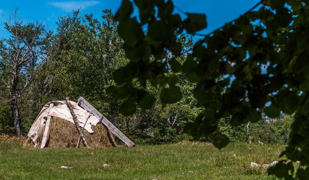 Simpatična galerija koja prikazuje životinjsku farmu na najvišem južnom vrhu Velebita – Crnopcu