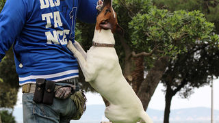Subotnji šušur u gradu 27. travnja 2013. Foto: Mia Čop Subotnji šušur u gradu 27. travnja 2013. Foto: Mia Čop