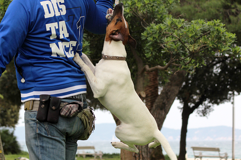 Subotnji šušur u gradu 27. travnja 2013. Foto: Mia Čop Subotnji šušur u gradu 27. travnja 2013. Foto: Mia Čop
