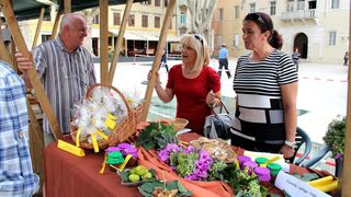 Sajam smokava na Poljani Šime budinića/Festival smokava/smokve, foto: I. Perinčić