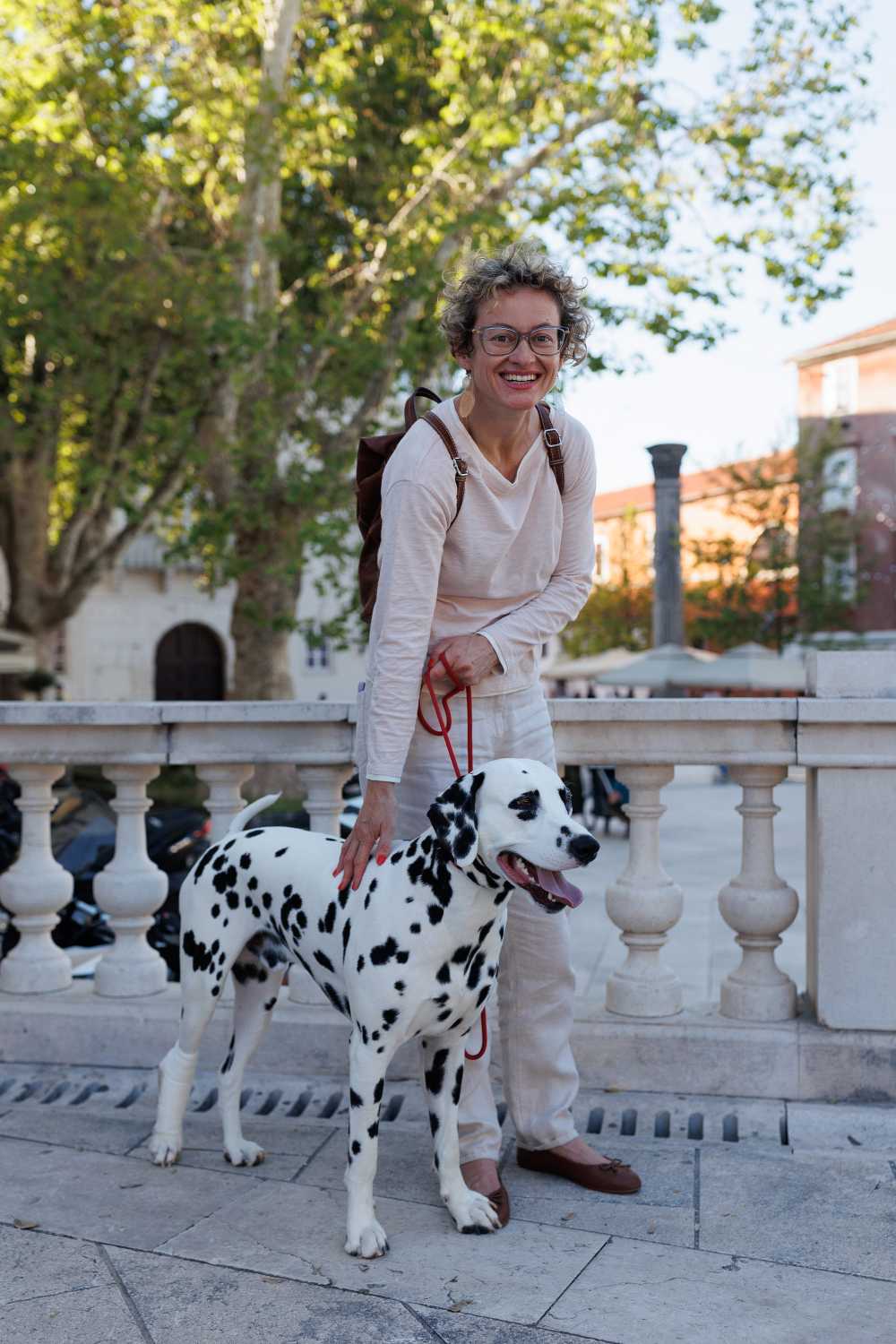 Red Carpet Dalmatian Walk @Trg pet bunara Red Carpet Dalmatian Walk @Trg pet bunara