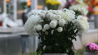 Gradsko groblje u Zadru u susret blagdanu Svih svetih