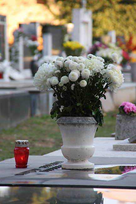 Gradsko groblje u Zadru u susret blagdanu Svih svetih