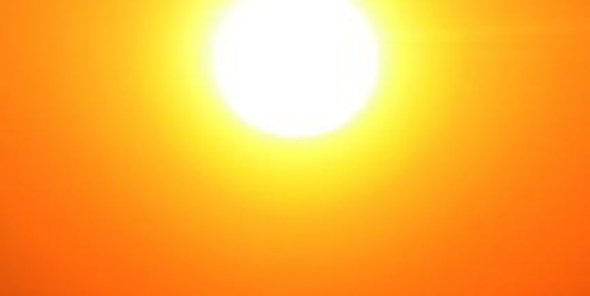 Image 1200553 (auto)