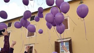 Image 380737 (auto) Image 380737 (auto)