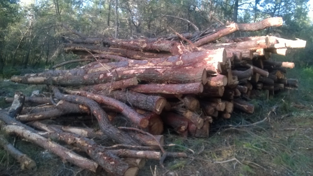 Park šuma Musapstan zagađena raznim otpadom Park šuma Musapstan zagađena raznim otpadom