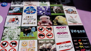 Štandovi i degustacija veganskih jela na Narodnom trgu, “Udruga Prijatelji životinja”