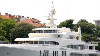 Image 1206495 (auto)