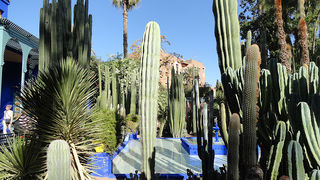 Skitnja Casablancom, foto: Pero Šindija