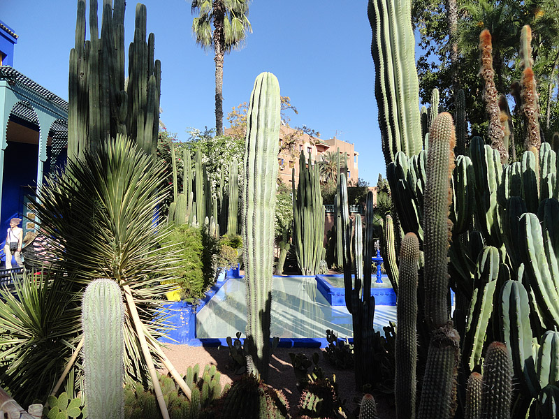 Skitnja Casablancom, foto: Pero Šindija