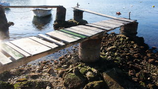 Zadar, 180112.
Velike plime i oseke, u ovom slucaju oseke, javljaju se u razdobljima punog mjeseca. Razina mora pala je za malo vise od pola metra sto i nije neki veliki problem osim sto su neke brodice ostale zarobljene u svojim lukama, a da isplove mora Zadar, 180112.
Velike plime i oseke, u ovom slucaju oseke, javljaju se u razdobljima punog mjeseca. Razina mora pala je za malo vise od pola metra sto i nije neki veliki problem osim sto su neke brodice ostale zarobljene u svojim lukama, a da isplove mora