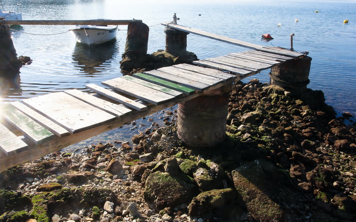 Zadar, 180112.
Velike plime i oseke, u ovom slucaju oseke, javljaju se u razdobljima punog mjeseca. Razina mora pala je za malo vise od pola metra sto i nije neki veliki problem osim sto su neke brodice ostale zarobljene u svojim lukama, a da isplove mora Zadar, 180112.
Velike plime i oseke, u ovom slucaju oseke, javljaju se u razdobljima punog mjeseca. Razina mora pala je za malo vise od pola metra sto i nije neki veliki problem osim sto su neke brodice ostale zarobljene u svojim lukama, a da isplove mora