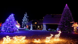 Cazma, 161209.
Grabovnica pokraj Cazme – Bozicna prica obitelji Salaj.
Zlatko Salaj ukrasio je i ove godine cijelo imanje s oko 1 milijun lampica. 
Za posjetitelje ce imanje biti otvoreno od subote 19.12. – 06. sijecnja od 17 h -21h.
Foto: Goran Mehkek /